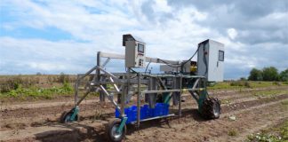 Harvesting robots working on linear systems could make asparagus cheaper